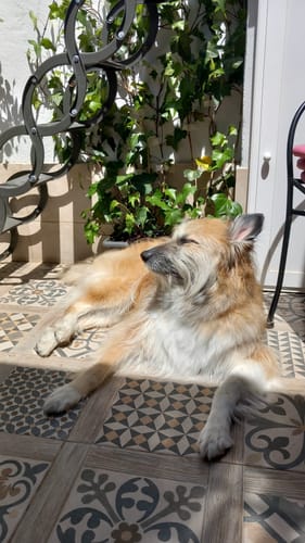 Customer photo review of Light