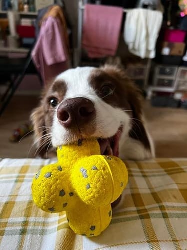 Customer photo review of Kauzauber-Ball