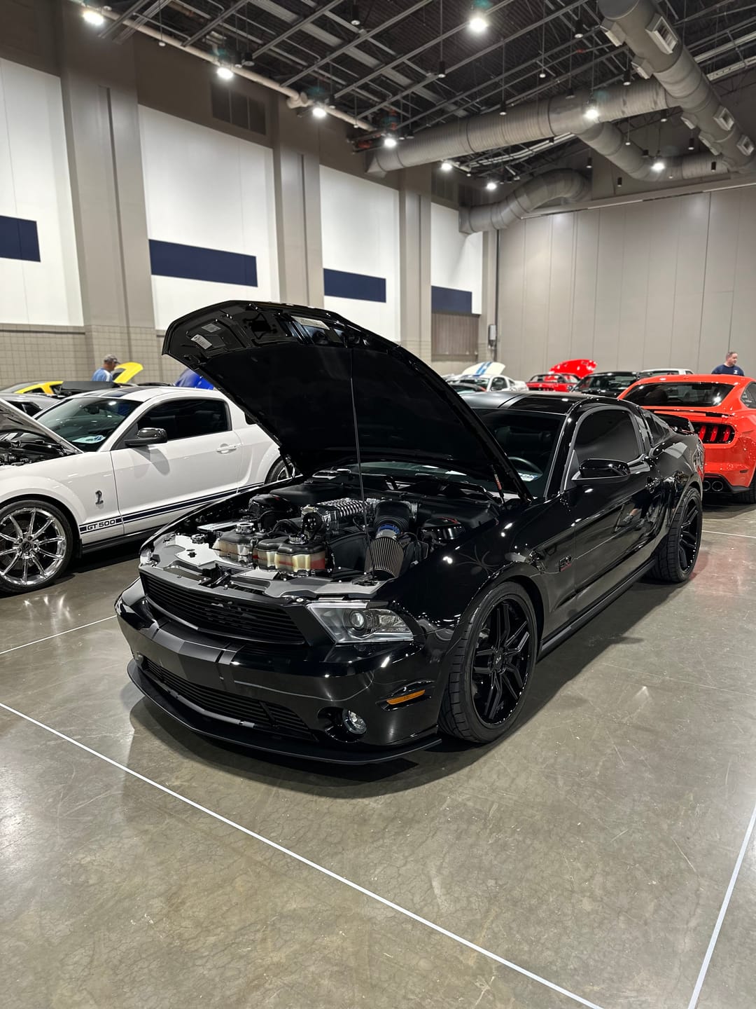 Customer photo review of Limlex® Platinum Car Care Set