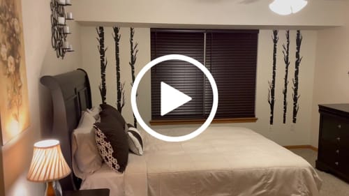 Customer video review of Tree Branch Wall Decor (Set Of 6)