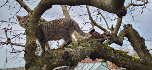 Customer photo review of Foto auf Leinwand