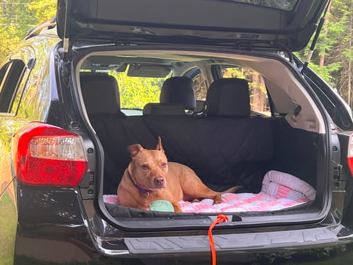 Customer photo review of Luxe Dog Bed - For The RuffRover 2.0™