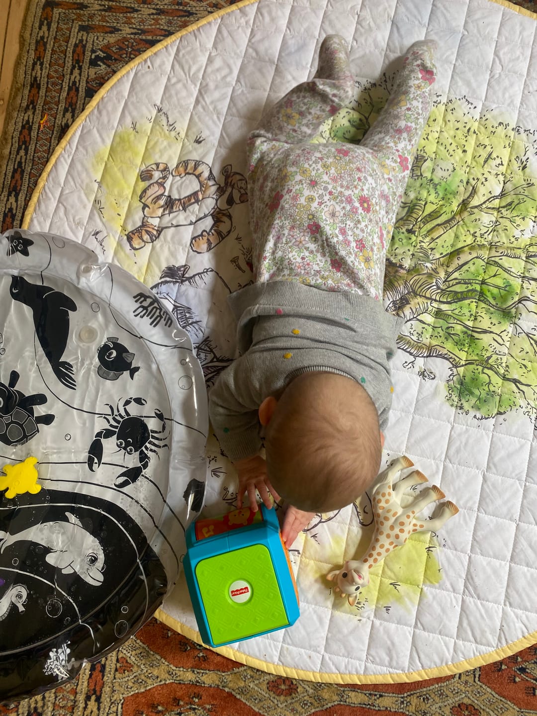 Customer photo review of Under The Sea High Contrast Sensory Water Mat