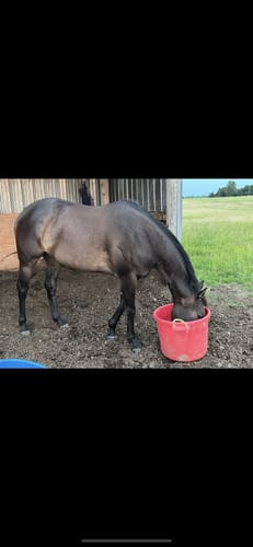 Customer photo review of Osteo-MAX » up to 29% Off