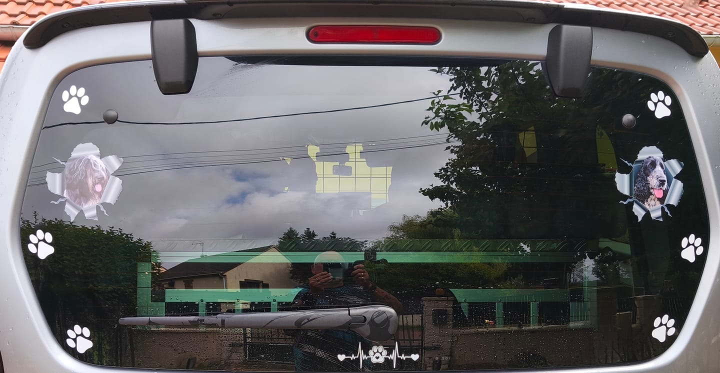Customer photo review of Photo animal curieux - Autocollant pour voiture personnalisé