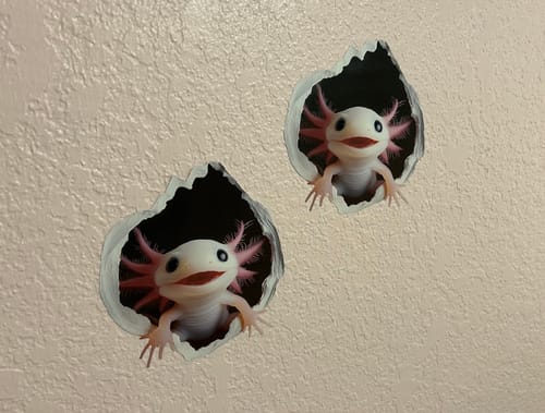 Customer photo review of Axolotl Hole Decal