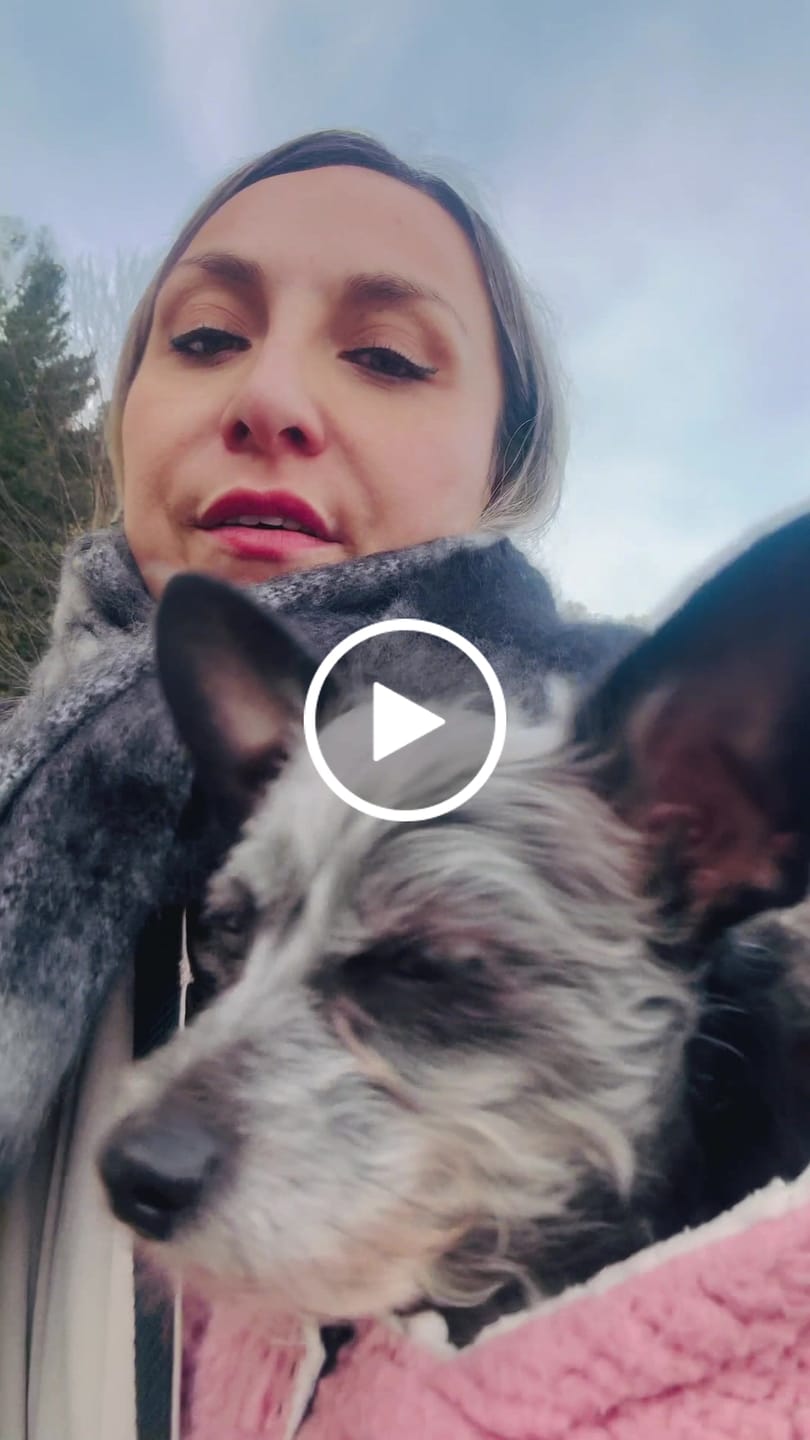 Customer video review of Portador plomo 2 a 10 kg