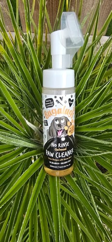 Customer photo review of Oatmeal No Rinse Paw Cleaner for Dogs & Cats