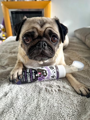 Customer photo review of Lavender & Chamomile No Rinse Paw Cleaner for Dogs & Cats