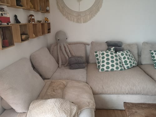 Customer photo review of The Octopus