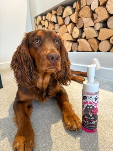 Customer photo review of Baby Fresh No Rinse Paw Cleaner for Dogs & Cats
