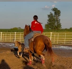 Customer photo review of Osteo-MAX & Gut X » up to 27% Savings