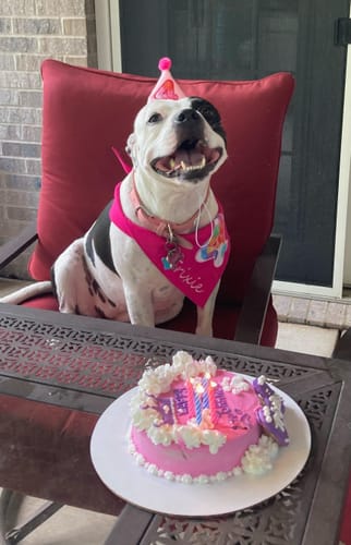 Customer photo review of Personalized Dog Party Pack