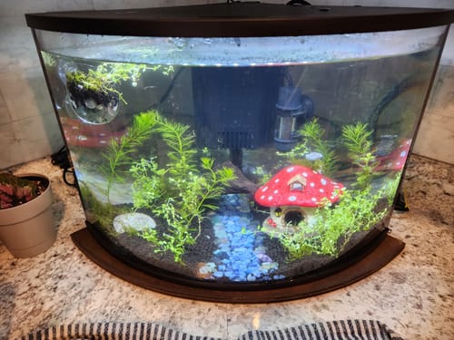 Customer photo review of Unfinished Wood Quarter Circle Shape - Craft - up to 46" DIY 14" / 1/2"