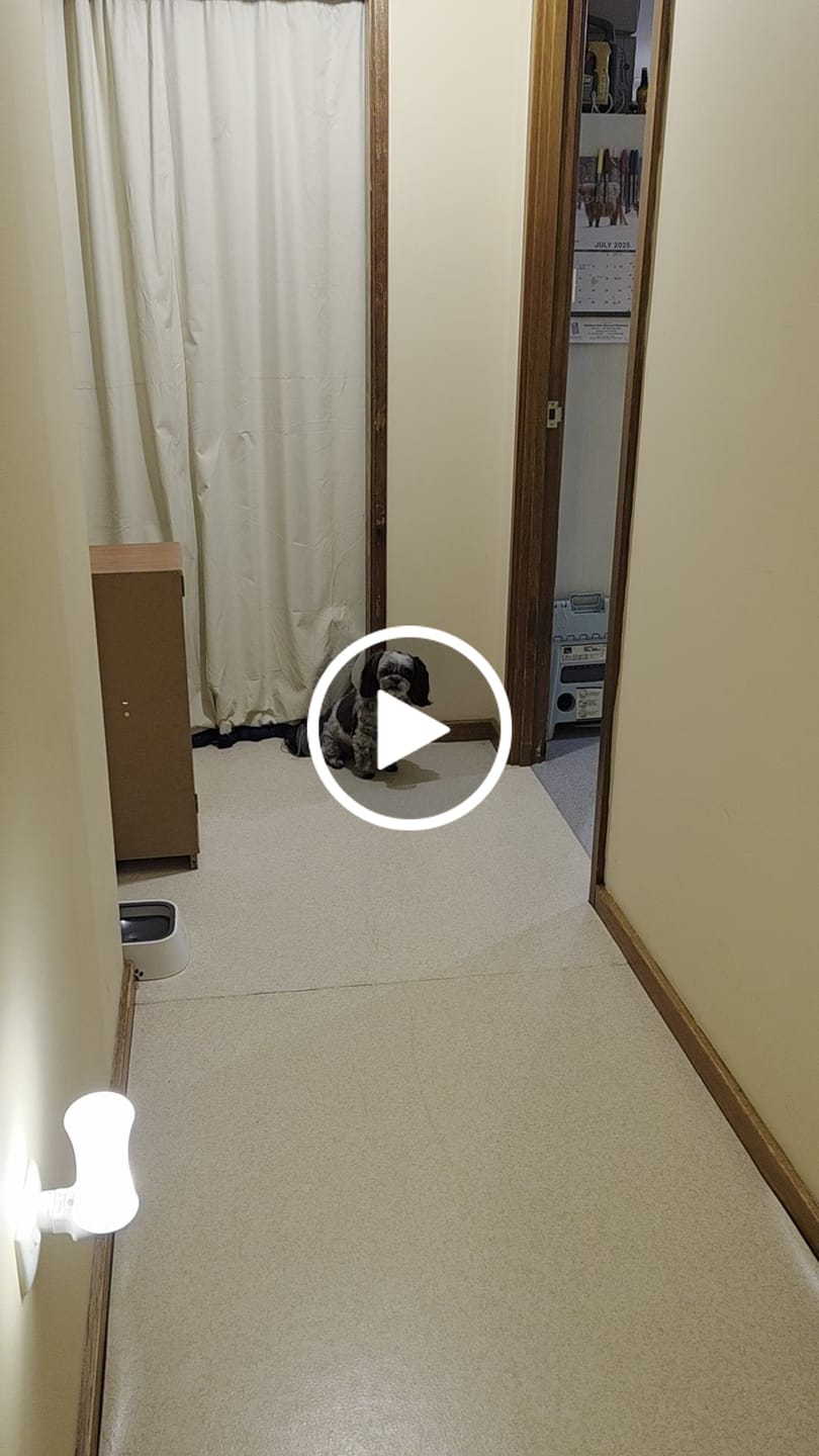 Customer video review of Chicken Bics Premium Dry Food