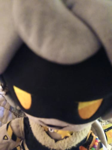 Customer photo review of V Plush