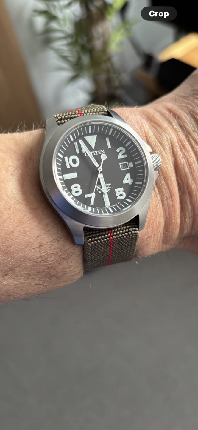 Customer photo review of Marine Nationale Military Style Elastic Strap - Green & Red with Black Buckles PVD
