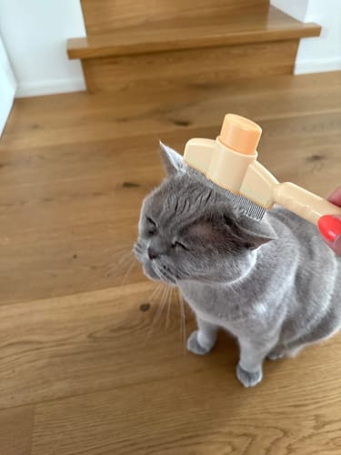 Customer photo review of Fellblitz-Bürste