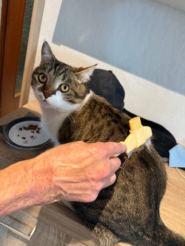 Customer photo review of Fellblitz-Bürste