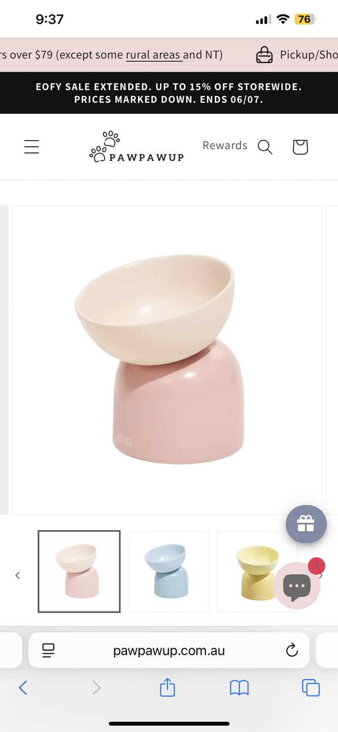 Customer photo review of Makesure Sugar Bean Ceramic Double Pet Bowls For Cat and Small Dogs