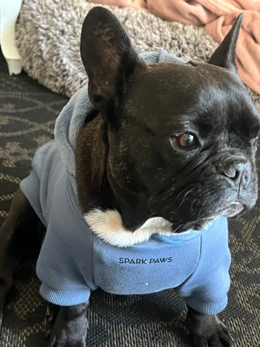 Customer photo review of Teddy Sherpa Fleece Dog Jacket - Brown