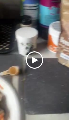 Customer video review of Beef Bone Broth for Dogs