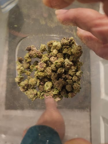 Customer photo review of Candy Runtz - 28 Grams - Minis (Hybrid)