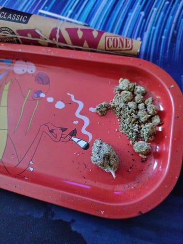 Customer photo review of Gas Cake  - 28 Grams Littles - Indica