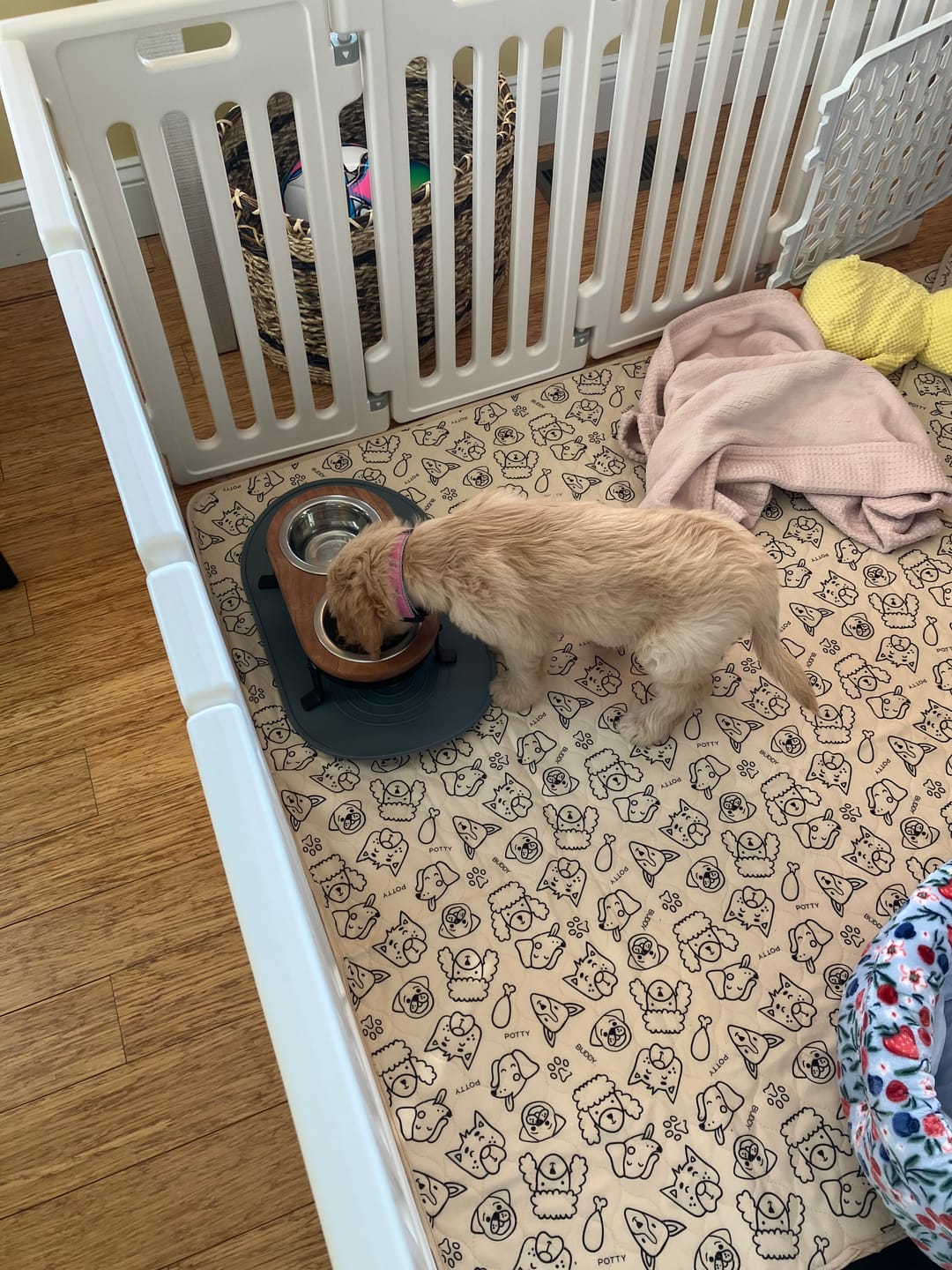 Customer photo review of Kind Silicone Dog Food Mat