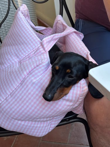 Customer photo review of Borsa Cotone Vichy Rosa