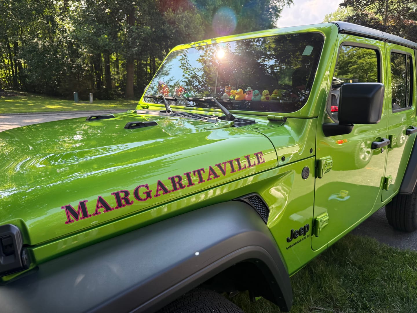 Customer photo review of Premium Hood Lettering | Set of 2