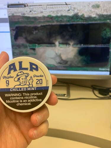 Customer photo review of Chilled Mint Nicotine Pouches