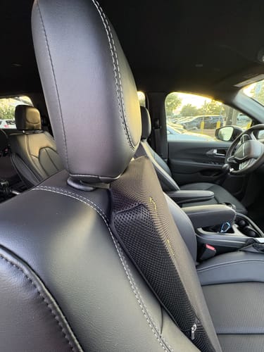 Customer photo review of Giraffe Cushion