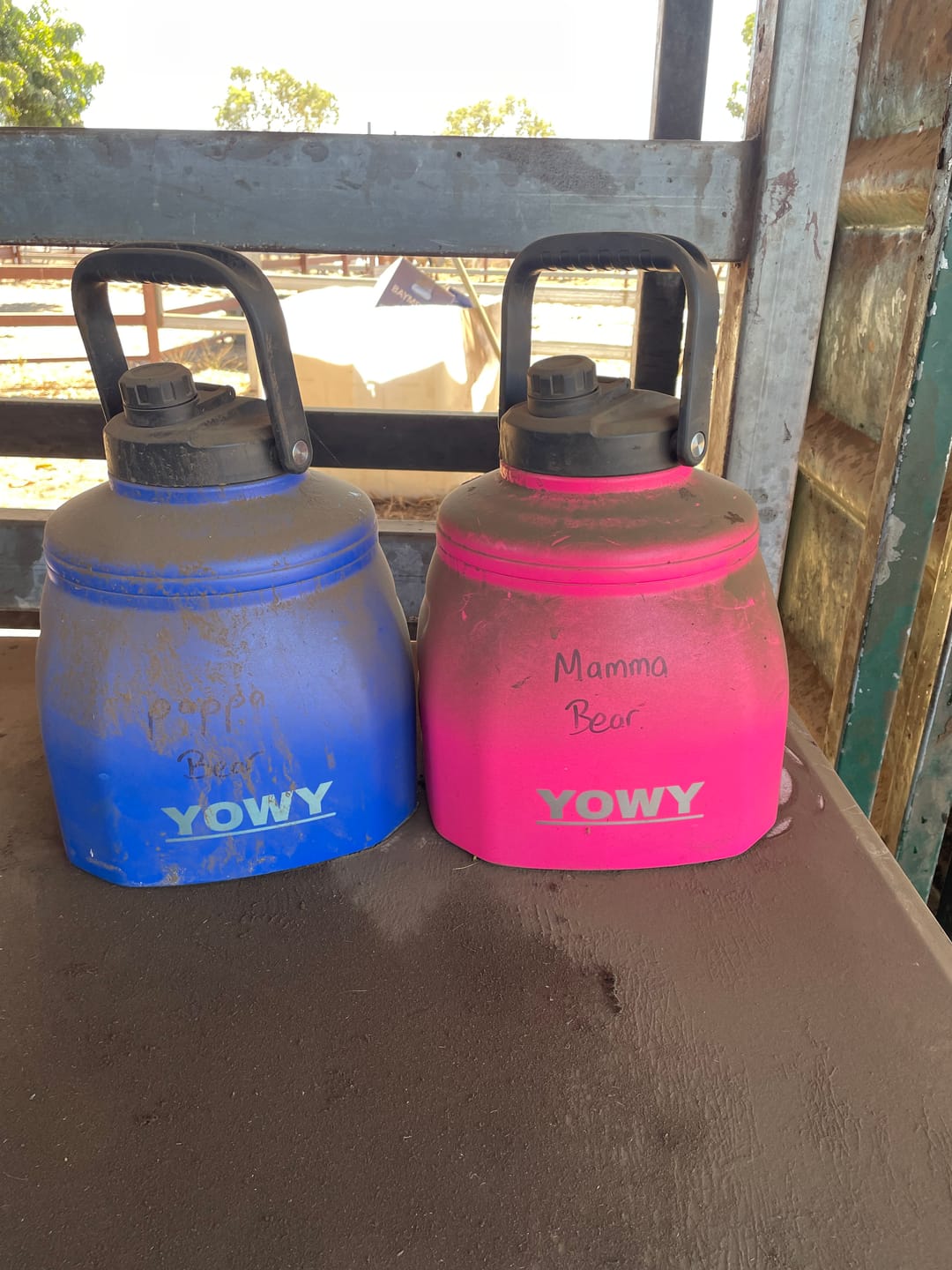 Customer photo review of 6L Yowy Watercan
