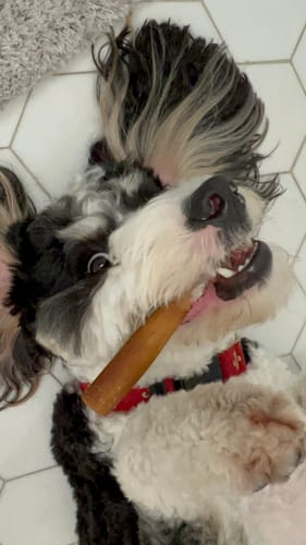 Customer photo review of Super Bull Sticks