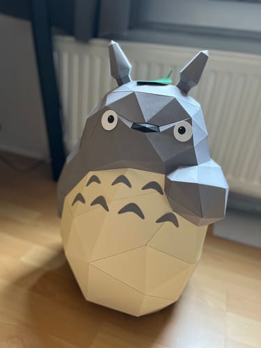 Customer photo review of Patrons Totoro