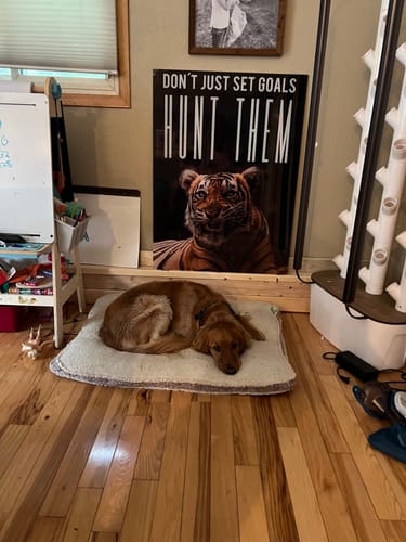 Customer photo review of Hunt Your Goals