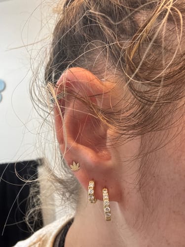 Customer photo review of Classic Pavé Huggie Earrings