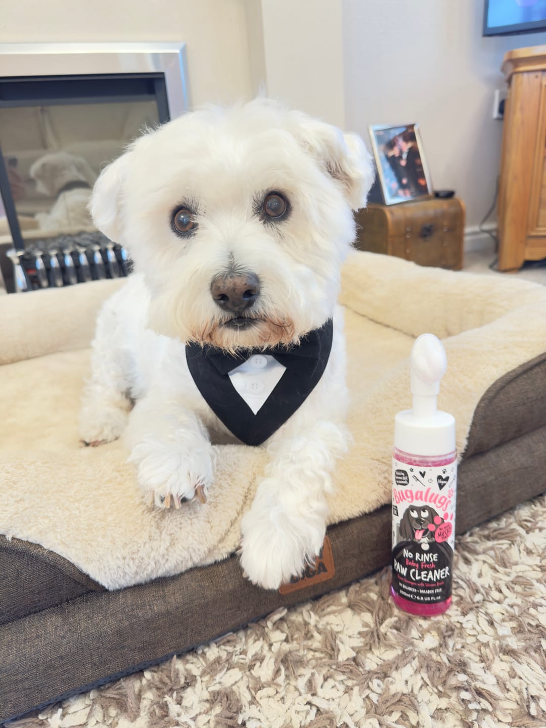 Customer photo review of Baby Fresh No Rinse Paw Cleaner for Dogs & Cats