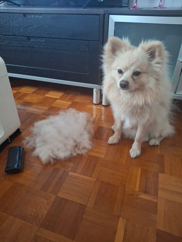 Customer photo review of Fellwunder-Bürste