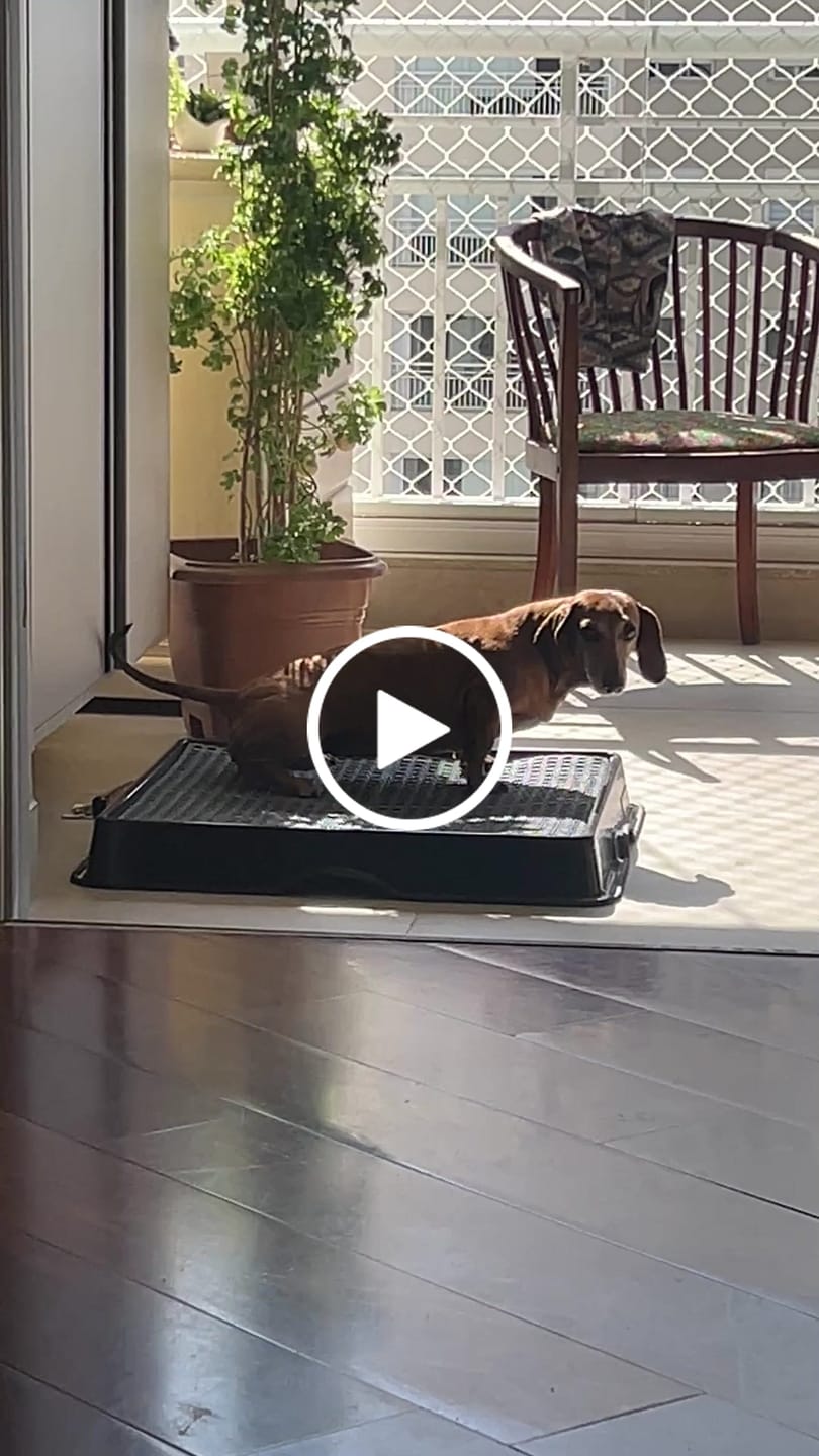 Customer video review of Weasy Neutralize