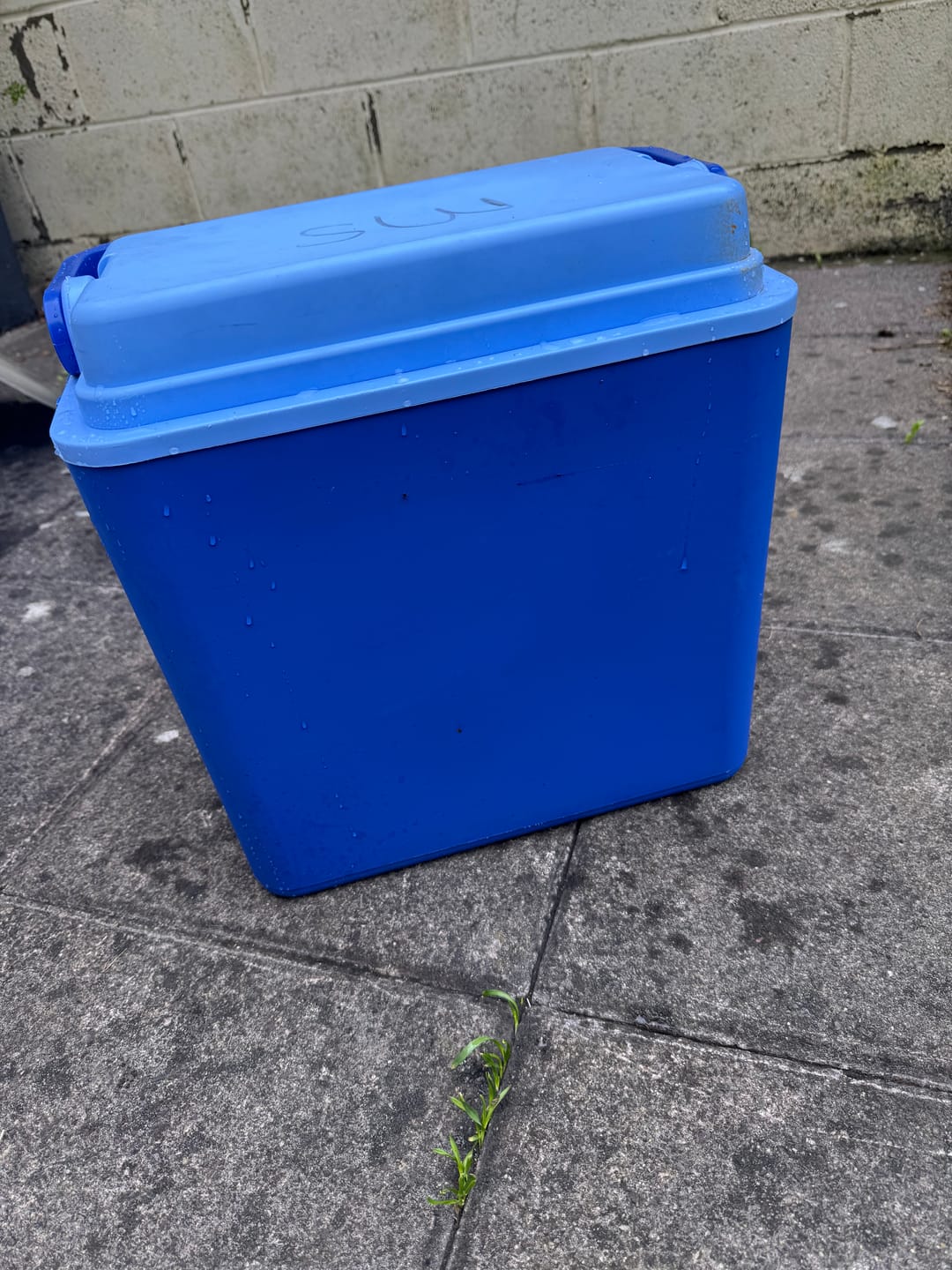 Customer photo review of ConnaBride  Cool box 24L