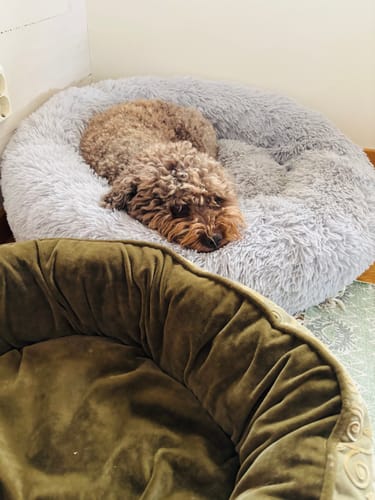 Customer photo review of CalmBed - Motverkar stress & hjälper mot ångest