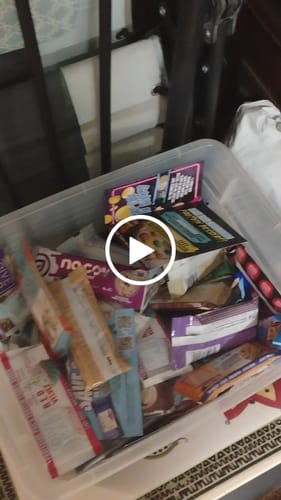 Customer video review of CLEARANCE Divorce Cake  - 5 bars