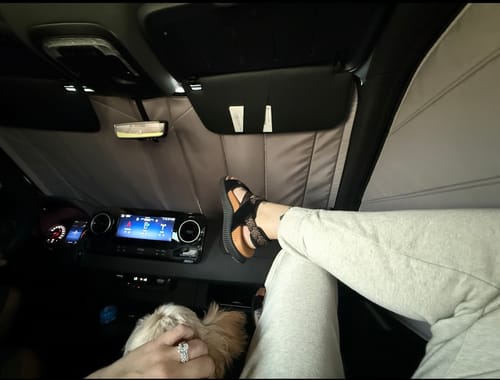 Customer photo review of Sprinter - Windshield Shade