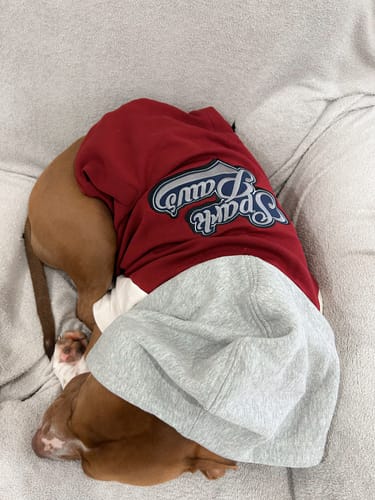 Customer photo review of Dog Varsity Jacket - Red