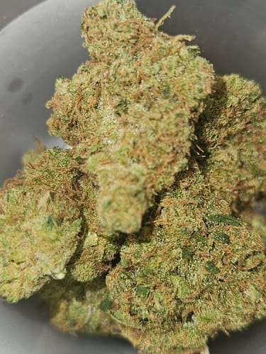 Customer photo review of Dutch Treat