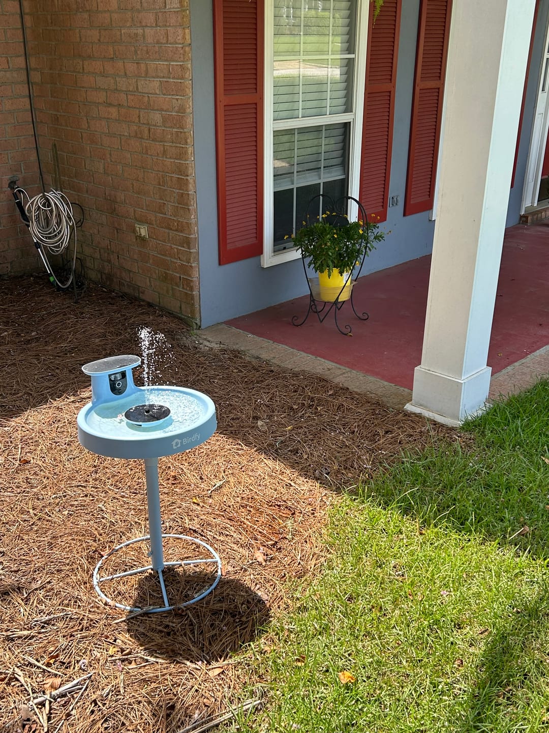 Customer photo review of Birdfy Bath Pro - Smart Bird Bath with Camera