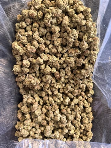 Customer photo review of Raspberry Kush - Bulk - (Indica)