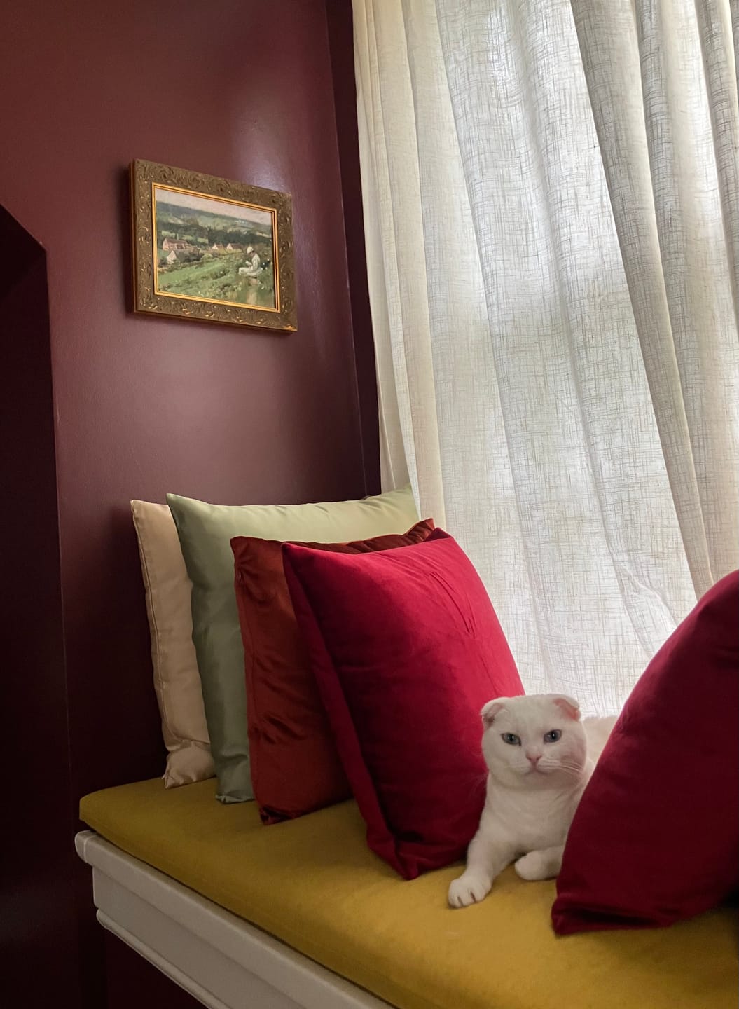Customer photo review of The Valley of Arconville | Paper